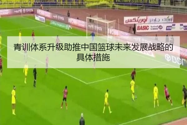 青训体系升级助推中国篮球未来发展战略的具体措施