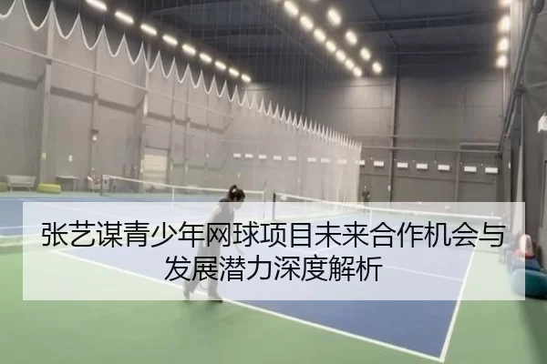 张艺谋青少年网球项目未来合作机会与发展潜力深度解析